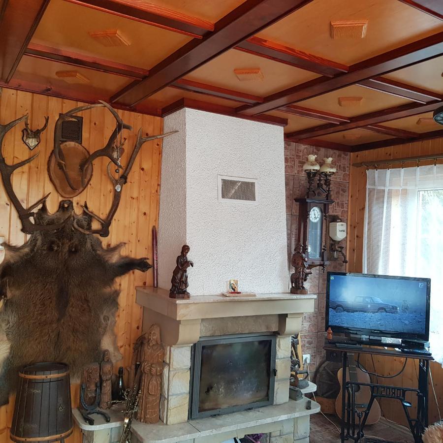 Domek Nad Rzeczka Villa Zabnica Exteriör bild